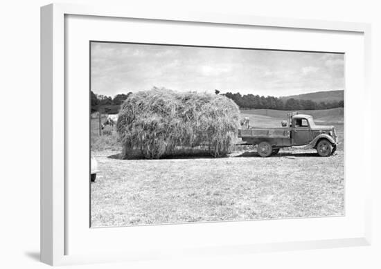 American Hay Farmer-null-Framed Giclee Print