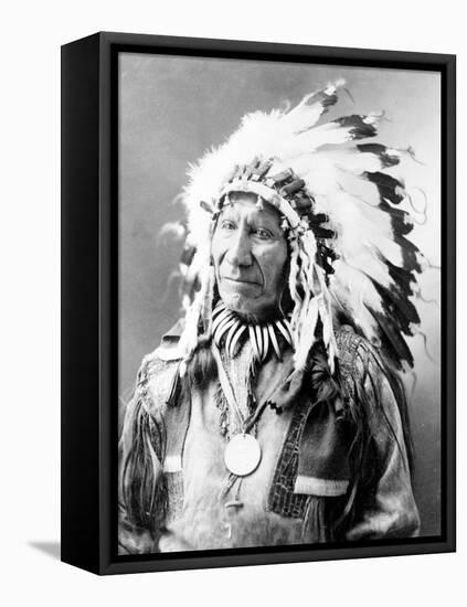 American Horse, Oglala Lakota Indian Chief-Science Source-Framed Premier Image Canvas