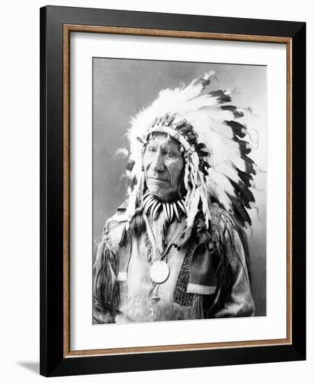 American Horse, Oglala Lakota Indian Chief-Science Source-Framed Giclee Print