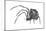 American House Spider (Parasteatoda Tepidariorum), Arachnids-Encyclopaedia Britannica-Mounted Art Print