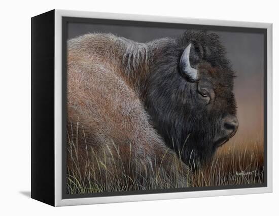 American Icon- Bison-Kevin Daniel-Framed Stretched Canvas