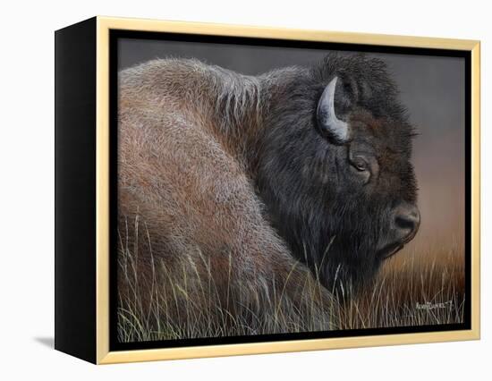 American Icon- Bison-Kevin Daniel-Framed Stretched Canvas