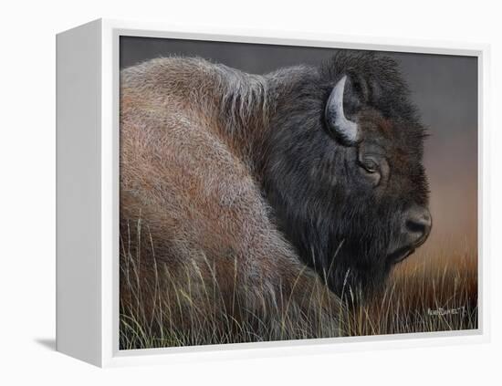 American Icon- Bison-Kevin Daniel-Framed Stretched Canvas