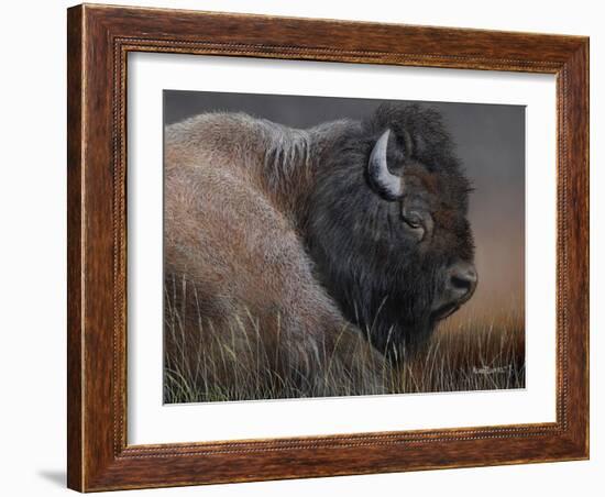 American Icon- Bison-Kevin Daniel-Framed Art Print