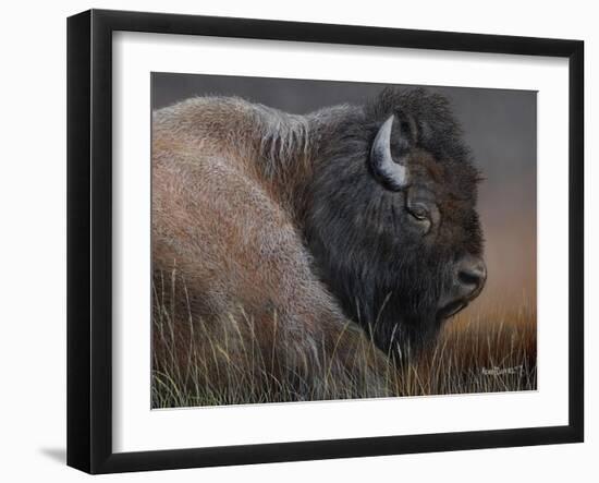 American Icon- Bison-Kevin Daniel-Framed Art Print