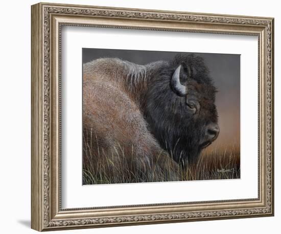 American Icon- Bison-Kevin Daniel-Framed Art Print