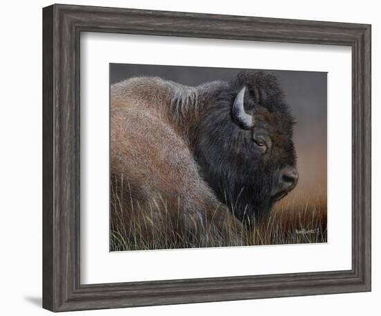 American Icon- Bison-Kevin Daniel-Framed Art Print