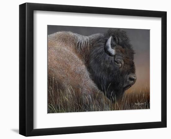 American Icon- Bison-Kevin Daniel-Framed Premium Giclee Print