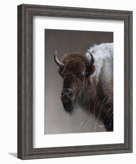 American Icon- Buffalo-Kevin Daniel-Framed Art Print