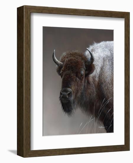 American Icon- Buffalo-Kevin Daniel-Framed Art Print