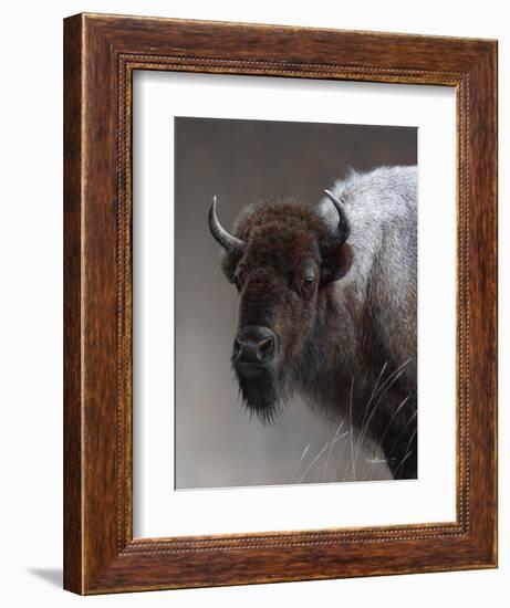 American Icon- Buffalo-Kevin Daniel-Framed Art Print