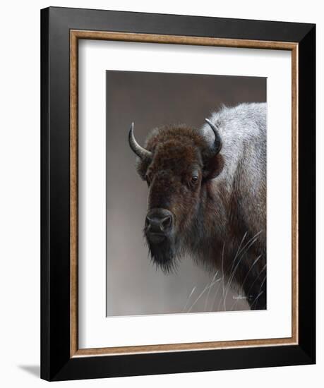 American Icon- Buffalo-Kevin Daniel-Framed Art Print