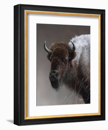 American Icon- Buffalo-Kevin Daniel-Framed Art Print