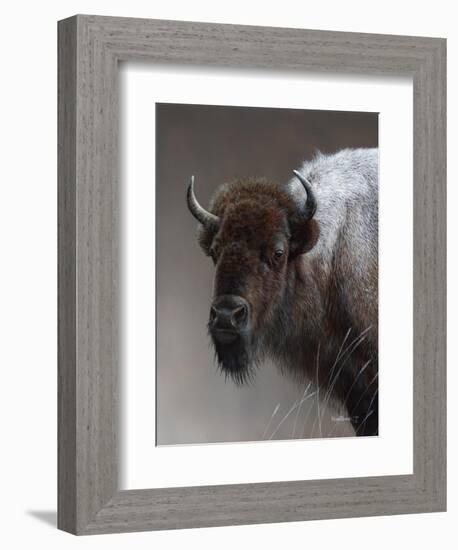 American Icon- Buffalo-Kevin Daniel-Framed Premium Giclee Print