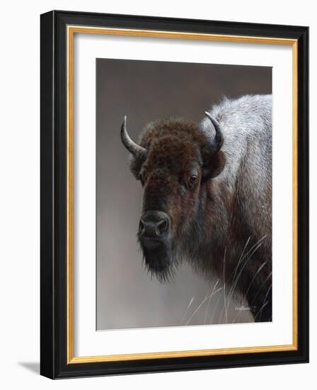 American Icon- Buffalo-Kevin Daniel-Framed Art Print