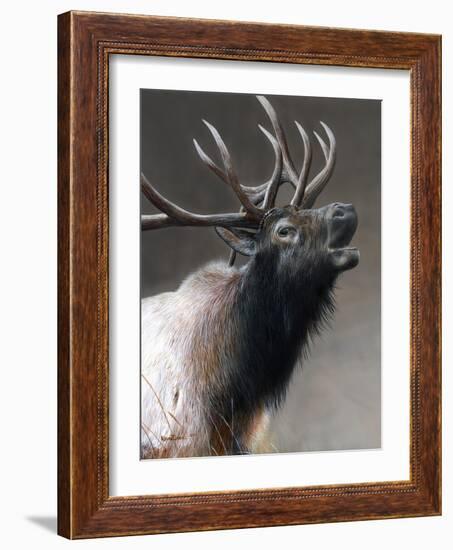 American Icon- Elk-Kevin Daniel-Framed Art Print