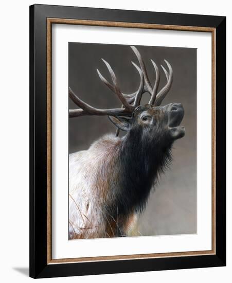 American Icon- Elk-Kevin Daniel-Framed Art Print