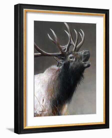 American Icon- Elk-Kevin Daniel-Framed Art Print