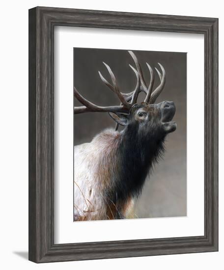 American Icon- Elk-Kevin Daniel-Framed Art Print