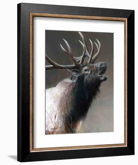 American Icon- Elk-Kevin Daniel-Framed Art Print