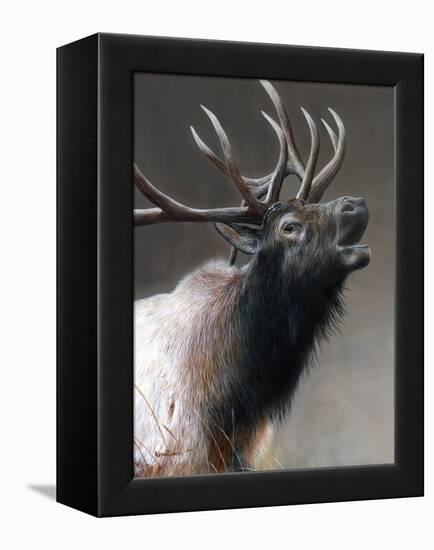 American Icon- Elk-Kevin Daniel-Framed Stretched Canvas