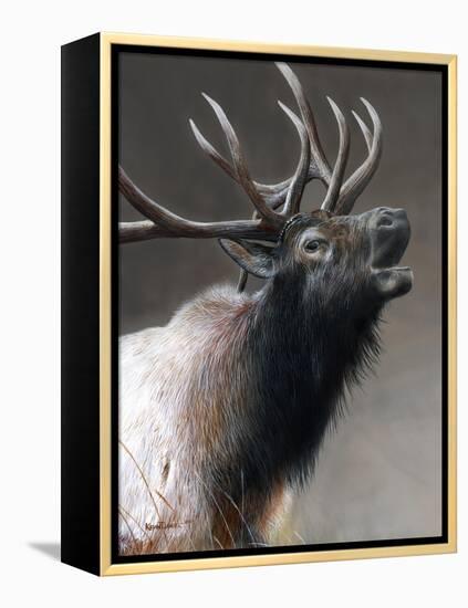 American Icon- Elk-Kevin Daniel-Framed Stretched Canvas