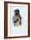 American Indian Engraving-J. Harris-Framed Giclee Print