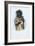 American Indian Engraving-J. Harris-Framed Giclee Print