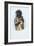 American Indian Engraving-J. Harris-Framed Giclee Print