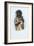 American Indian Engraving-J. Harris-Framed Giclee Print