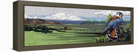 American Kestral-Kestrel Michaud-Framed Premier Image Canvas