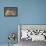 American Kestrel Hawk-Ken Archer-Framed Premier Image Canvas displayed on a wall