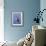 American Kestrel, Sanibel Island, Florida, USA-Charles Sleicher-Framed Photographic Print displayed on a wall