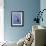 American Kestrel, Sanibel Island, Florida, USA-Charles Sleicher-Framed Photographic Print displayed on a wall