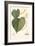 American Linden-Sprague-Framed Premium Giclee Print