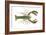 American Lobster (Homarus Americanus), Crustaceans-Encyclopaedia Britannica-Framed Art Print
