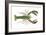 American Lobster (Homarus Americanus), Crustaceans-Encyclopaedia Britannica-Framed Art Print