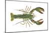 American Lobster (Homarus Americanus), Crustaceans-Encyclopaedia Britannica-Mounted Art Print