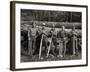 American Loggers, 1939-null-Framed Photographic Print