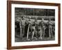 American Loggers, 1939-null-Framed Photographic Print
