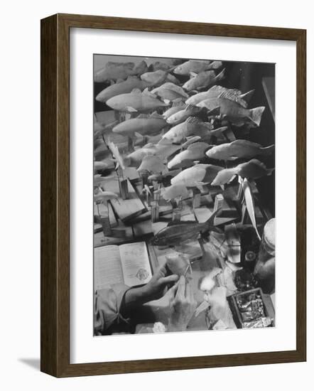 American Museum of Natural History Artist Brunner Working on Plaster Molds Made from Real Fish-Margaret Bourke-White-Framed Photographic Print