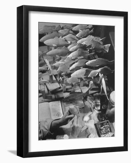 American Museum of Natural History Artist Brunner Working on Plaster Molds Made from Real Fish-Margaret Bourke-White-Framed Photographic Print