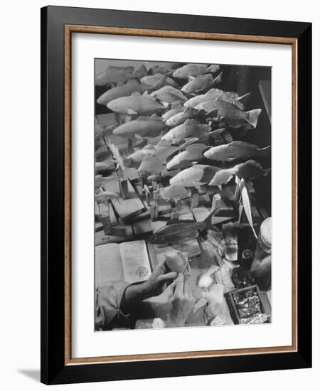 American Museum of Natural History Artist Brunner Working on Plaster Molds Made from Real Fish-Margaret Bourke-White-Framed Photographic Print