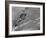 American Navy Torpedo Bombers Fly over Burning Japanese Ship During the Battle of Midway-null-Framed Premium Photographic Print