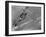 American Navy Torpedo Bombers Fly over Burning Japanese Ship During the Battle of Midway-null-Framed Premium Photographic Print