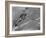 American Navy Torpedo Bombers Fly over Burning Japanese Ship During the Battle of Midway-null-Framed Photographic Print