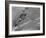 American Navy Torpedo Bombers Fly over Burning Japanese Ship During the Battle of Midway-null-Framed Photographic Print