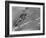 American Navy Torpedo Bombers Fly over Burning Japanese Ship During the Battle of Midway-null-Framed Photographic Print