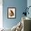 American Osprey-John Gould-Framed Art Print displayed on a wall