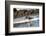 American Oystercatcher (Haematopus palliatus), Playa Arco Beach, Costa Rica-Matthew Williams-Ellis-Framed Photographic Print